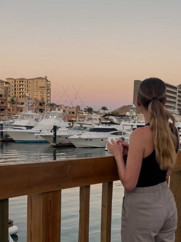 The view of Cabo San Lucas harbour with all the boats and yachts in the distance
